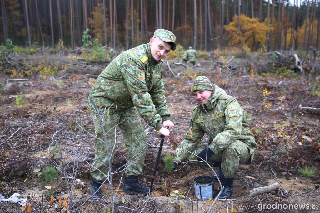 Гродненская погрангруппа присоединилась к акции «Дай лесу новае жыццё!»