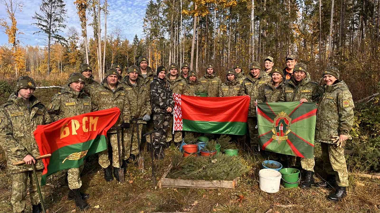 Акция "Подари лесу новую жизнь"