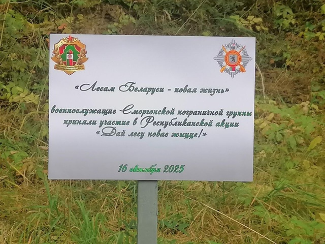 Лесам Беларуси – новая жизнь: пограничники Сморгони поддержали республиканскую акцию Лесам Беларуси – новая жизнь: пограничники Сморгони поддержали республиканскую акцию