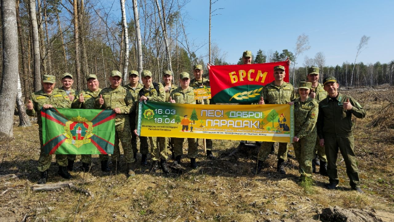 Лес! Добро! Порядок!