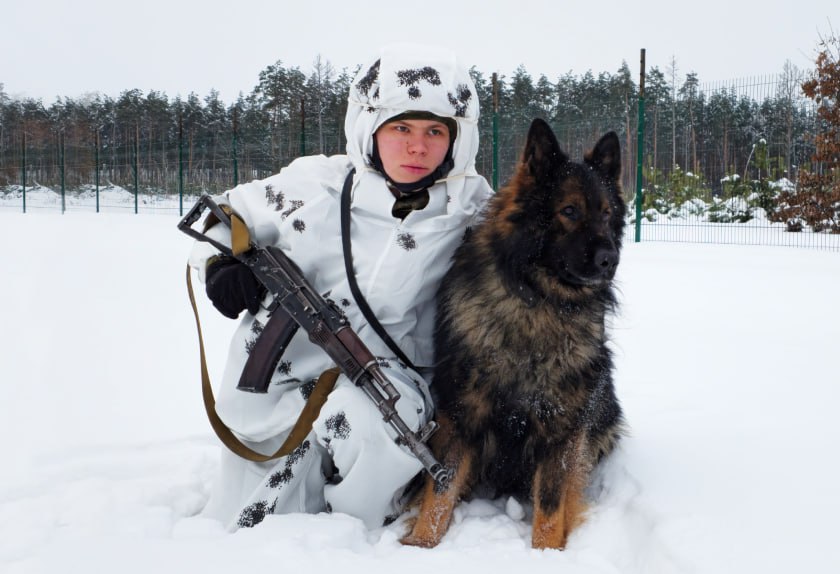 Почётная миссия защитника