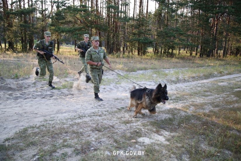 Гражданин Украины с собакой задержан при попытке нарушения границы