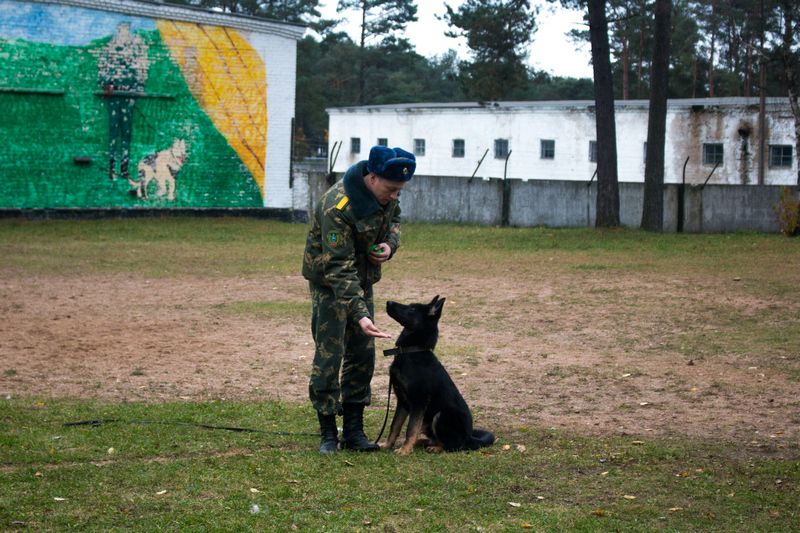 День кинолога пограничной службы