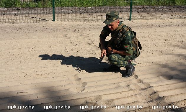 Четверо нелегалов из Марокко задержаны у белорусско-польской границы Четверо нелегалов из Марокко задержаны у белорусско-польской границы
