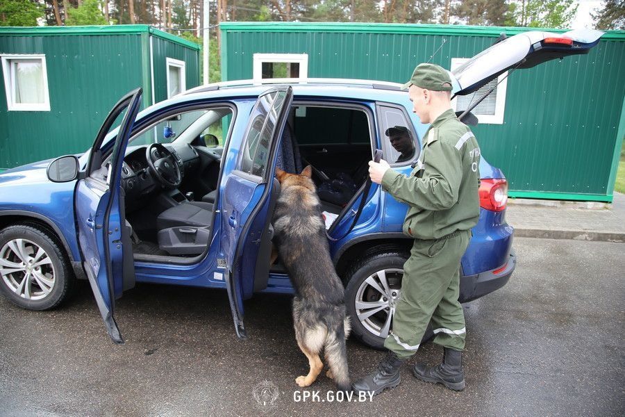 Какие лекарства нельзя ввозить в Беларусь