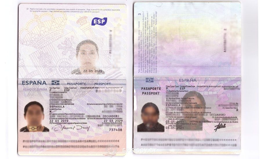 Иностранец с двойным гражданством задержан с чужим паспортом в пункте пропуска Брузги