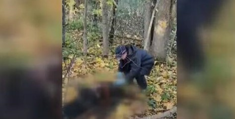 Очередная смерть на белорусско-литовской границе: пограничники нашли труп мигранта Очередная смерть на белорусско-литовской границе: пограничники нашли труп мигранта
