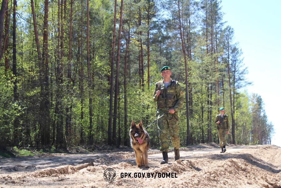 В период майских праздников гомельские пограничники задержали троих нарушителей В период майских праздников гомельские пограничники задержали троих нарушителей