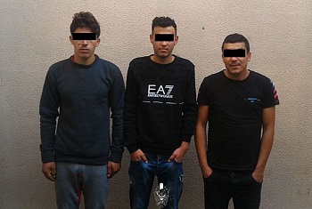 Нарушители границы из Алжира задержаны в Беловежской пуще