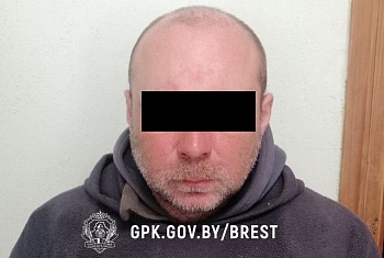 Нарушитель границы из Польши и россиянин с аэрозольным пистолетом задержаны брестскими пограничниками