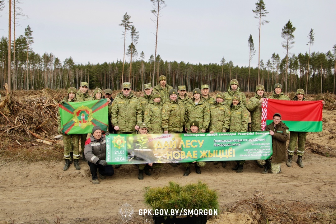 Военнослужащие Сморгонской пограничной группы присоединились к республиканской акции «Дай лесу новае жыцце» Военнослужащие Сморгонской пограничной группы присоединились к республиканской акции «Дай лесу новае жыцце»