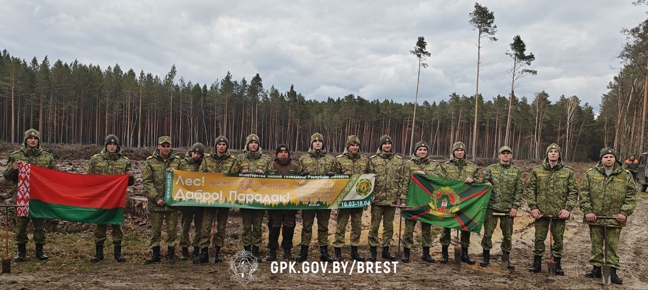 Порядок на земле начинается с добрых дел