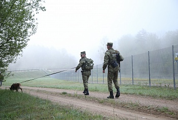 Три попытки нарушения границы пересекли гродненские пограничники