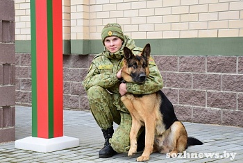 В одной команде