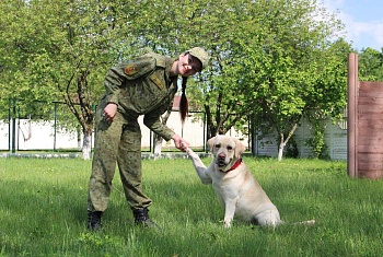 Хобби? Дело всей жизни!