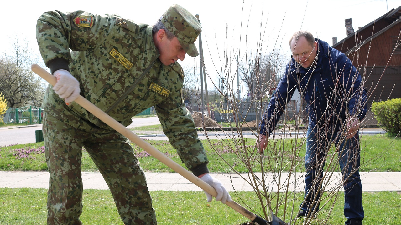 Территория Лидского пограничного отряда пополнилась новыми деревьями в ходе субботника и акции «Сад мира»