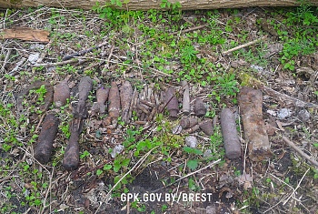 На острове Пограничном найдены мины, снаряды и патроны Второй Мировой войны