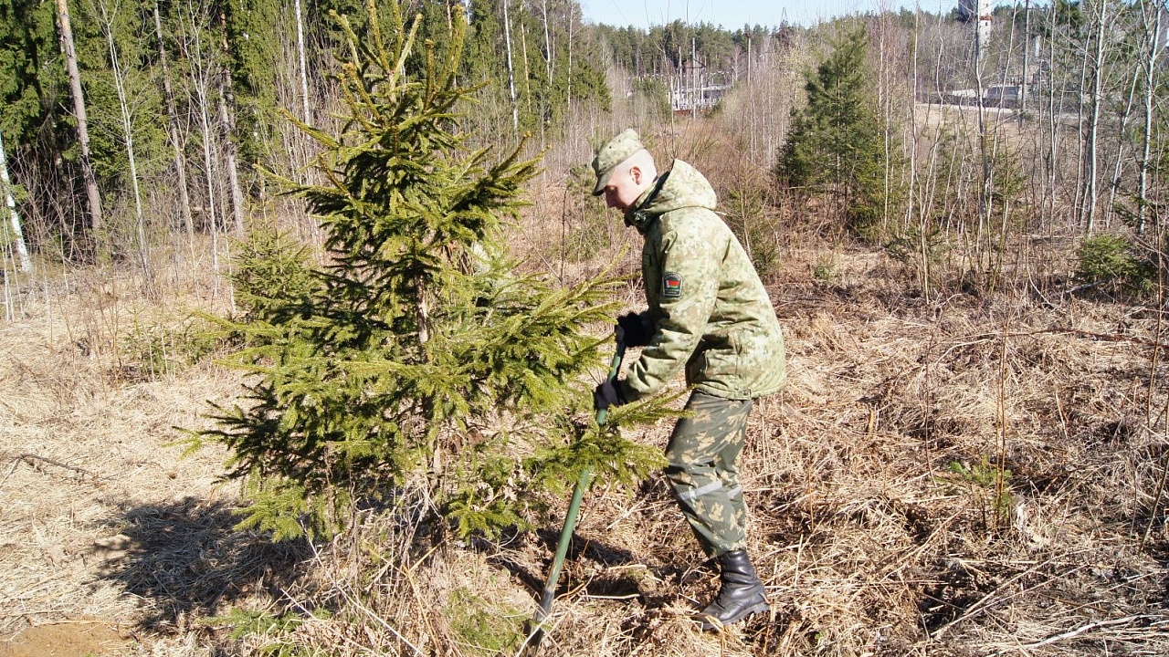 Военнослужащие Группы связи и обеспечения приняли участие в акции "Неделя леса"