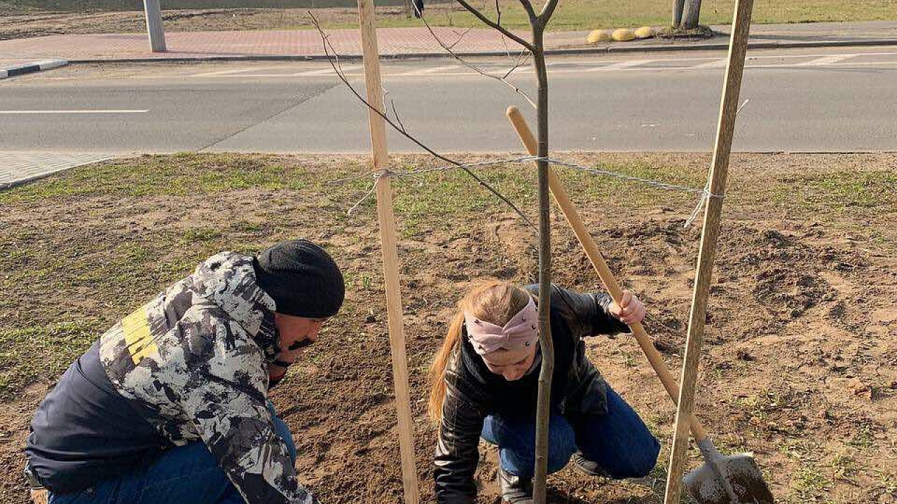 Полоцкие пограничники приняли участие в Республиканской акции "Неделя леса" Полоцкие пограничники приняли участие в Республиканской акции "Неделя леса"