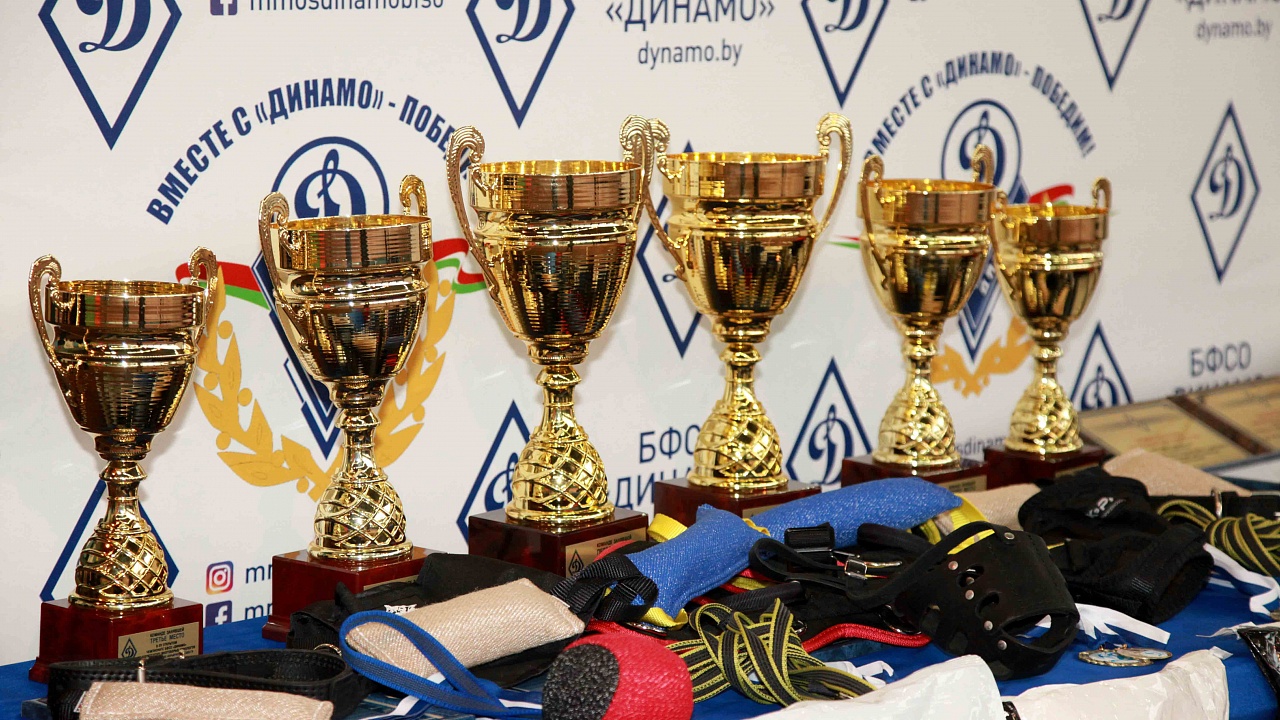 Пинские пограничники завоевали призовые места в Пятнадцатом Открытом чемпионате БФСО «Динамо» по служебному многоборью кинологов.