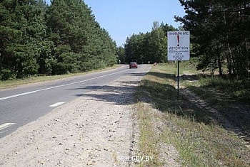 Потерявшегося гражданина Польши вернули домой