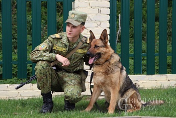 Тайна сержанта Одинцова