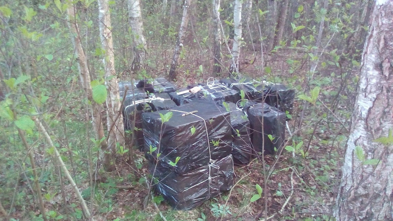 Схрон в лесном массиве. 