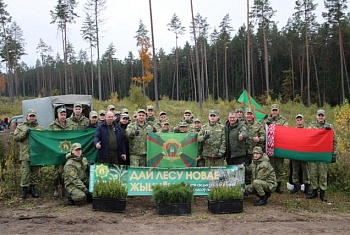 Лесам Беларуси – новая жизнь: пограничники Сморгони поддержали республиканскую акцию