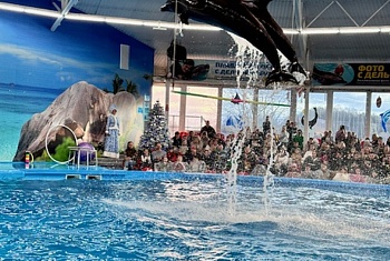 Визит в мир чудес: как дельфины и Дед Мороз подарили праздник детям военнослужащих