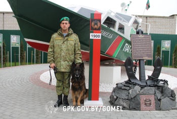 Пограничный пес Сакур уволен с военной службы