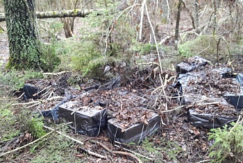 "Разрушенные перспективы контрабандистов-неудачников..." 