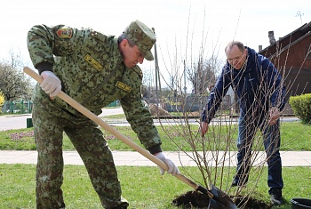 Территория Лидского пограничного отряда пополнилась новыми деревьями в ходе субботника и акции «Сад мира»