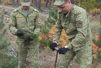 Брестские пограничники присоединились к акции «Дай лесу новае жыццё!»