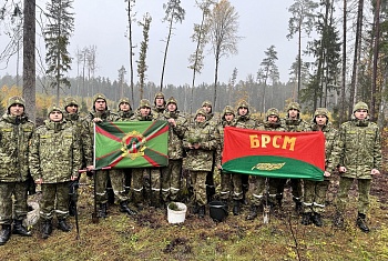 «Дай лесу новае жыцце!»: экология, традиции и вклад каждого в восстановление леса!