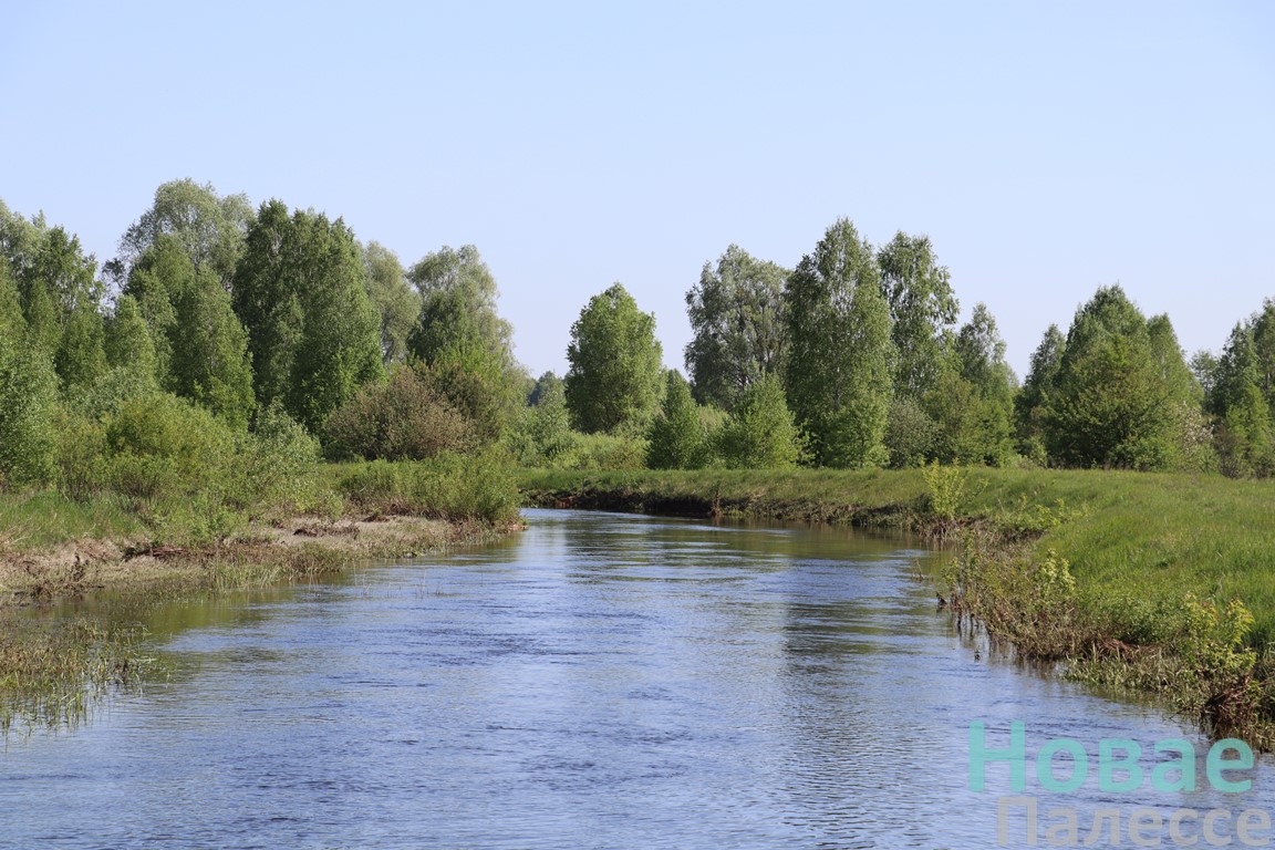 Новости Мозырского пограничного отряда